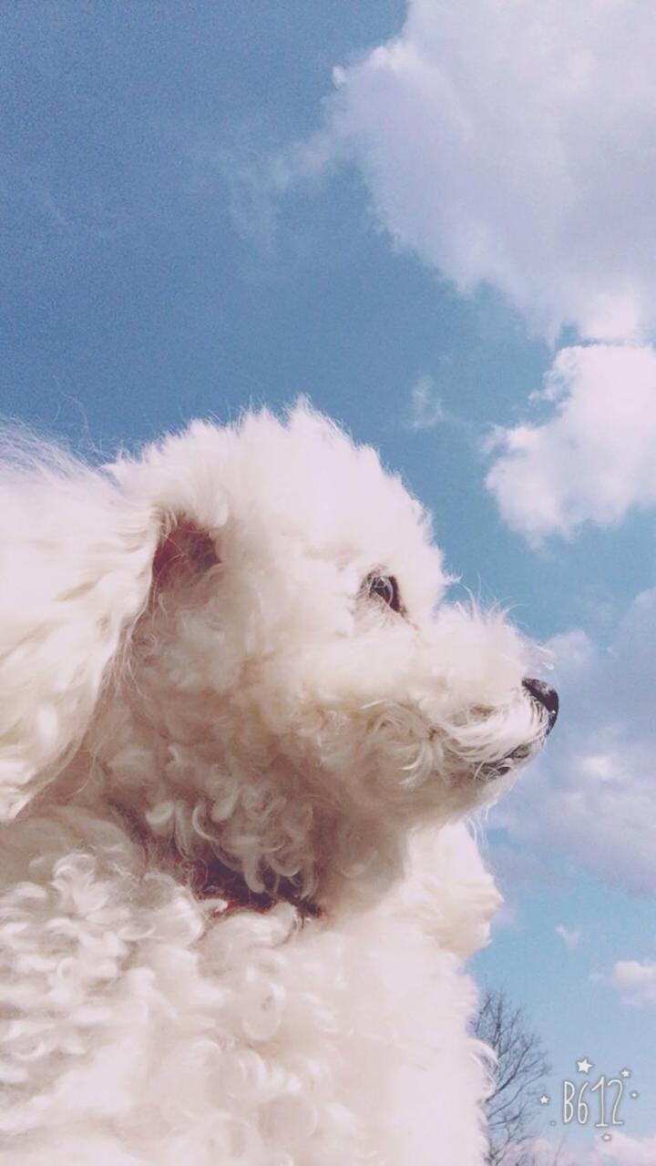 Tsubame-ya Quioto