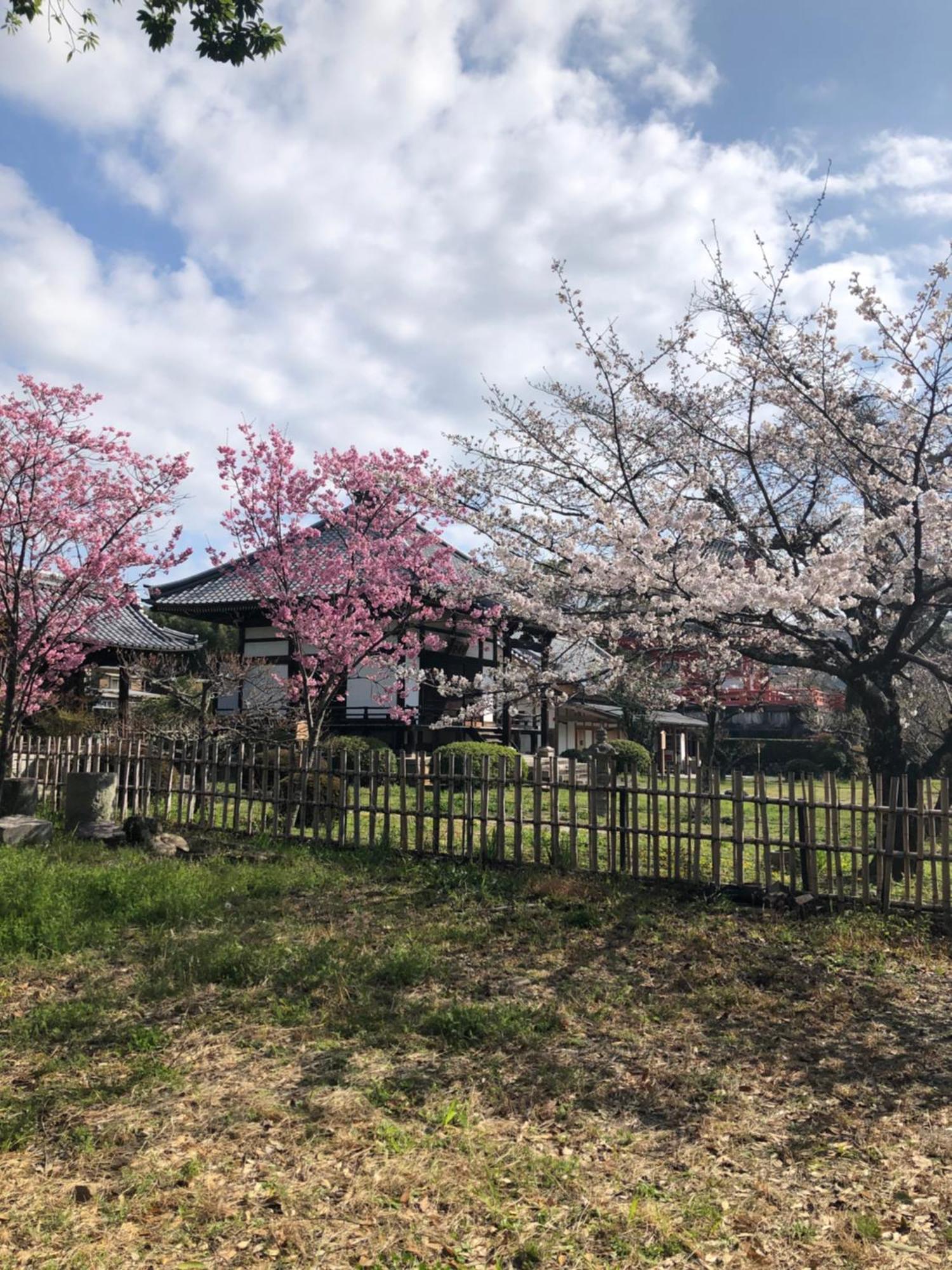 Casa de hóspedes Tsubame-ya Quioto